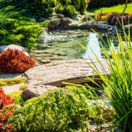 Gartenpflege Freise – Referenz Gartenteich Brücke