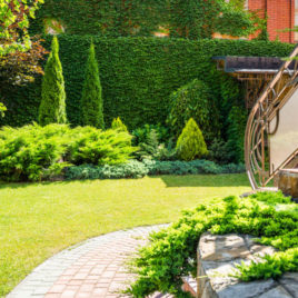 Gartenpflege Freise – Referenz Sichtschutzhecke