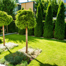 Gartenpflege Freise – Referenz individuelle Bepflanzung