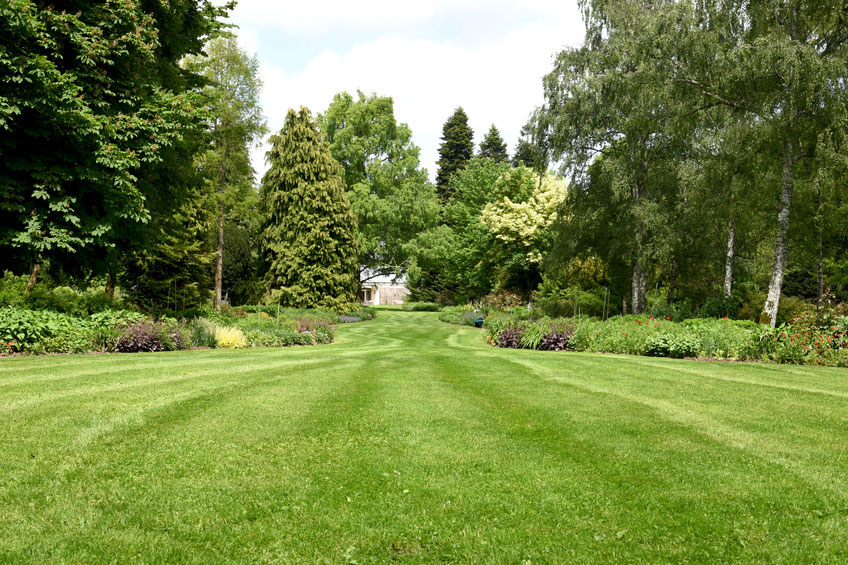 Gartenpflege Freise – Referenz schöner Rasen