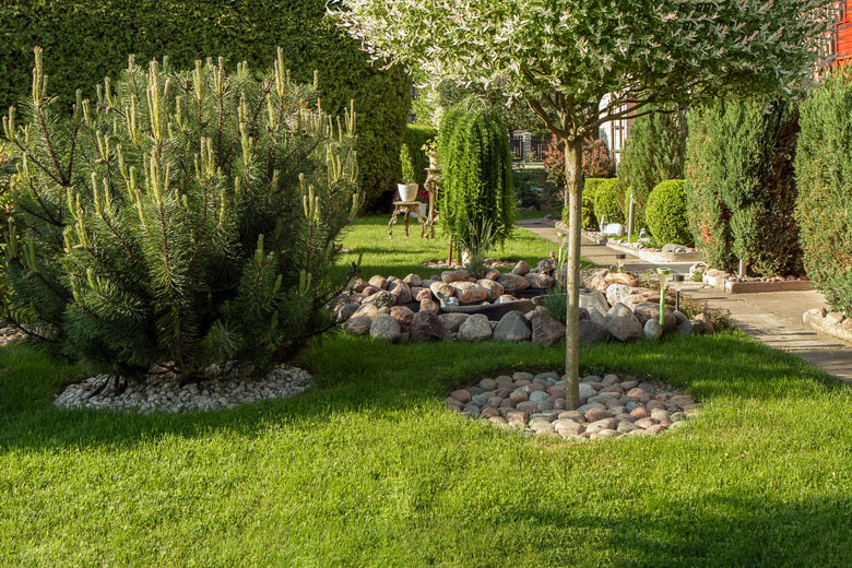 Gartenpflege Freise – Referenz grüner Garten